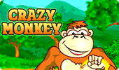 Crazy Monkey