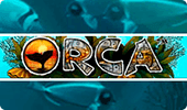 Orca